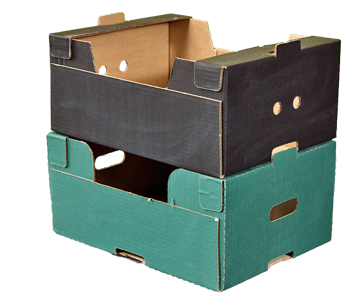 Produce Trays and Boxes